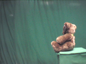 180 Degrees _ Picture 9 _ Small Dark Brown Teddy Bear.png